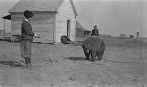 Primary view of object titled '[Bear with a Boy and a Man]'.