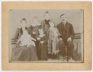 Primary view of object titled '[Portrait of the Williams family]'.