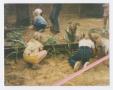 Photograph: [Children Planting at Camp]