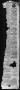 Thumbnail image of item number 2 in: 'Brenham Weekly Banner. (Brenham, Tex.), Vol. 16, No. 48, Ed. 1, Thursday, December 1, 1881'.