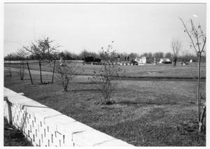 Primary view of object titled '[Memorial Park in Texas City]'.