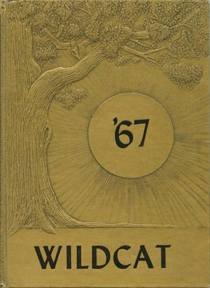 Primary view of object titled 'The Wildcat, Yearbook of Archer City Schools, 1967'.