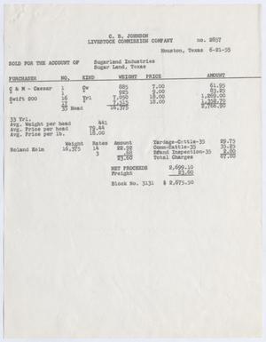 [Invoice for Cattle Account, June 21, 1955]