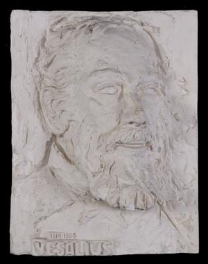 Primary view of object titled '[Bas-relief of Vesalius]'.