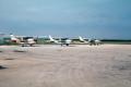 Photograph: [Airplanes at an Airfield]