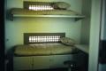 Photograph: [French Robertson Maximum Prison Tour - Bunk Beds]