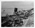 Photograph: [Debris along the shoreline after the 1947 Texas City Disaster]