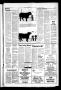 Thumbnail image of item number 3 in: 'The Cotulla Record (Cotulla, Tex.), Ed. 1 Thursday, March 29, 1984'.