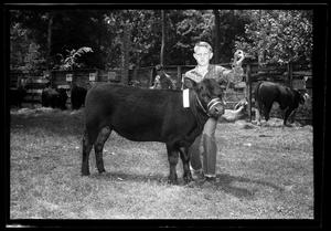 [Boy With a Cow, Cleveland Dairy Days]