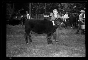 [Boy and Cow, Cleveland Dairy Days]