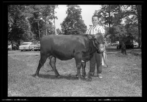 [Boy Standing with Cow, Cleveland Dairy Days]