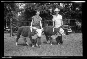 Primary view of object titled '[Two Boys and Cattle During Cleveland Dairy Day]'.