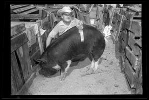 [Boy with a Pig, Cleveland Dairy Days]