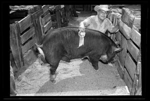 [Boy With a Pig, Cleveland Dairy Days]