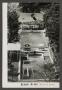 Thumbnail image of item number 1 in: '[Postcard of Atami Hotel's Pool]'.