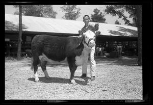 [Boy with a Cow, Cleveland Dairy Days]