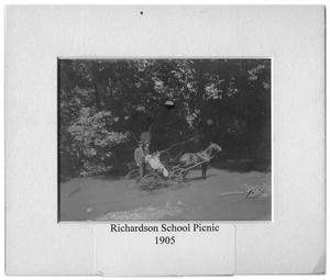 Richardson School Picnic