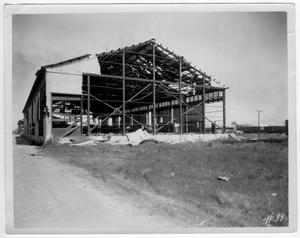 [Damaged warehouse after the 1947 Texas City Disaster]