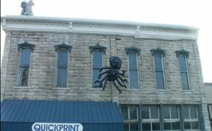[Inflatable Spider]