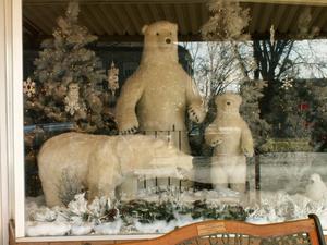 [Stuffed Polar Bears in a Window]