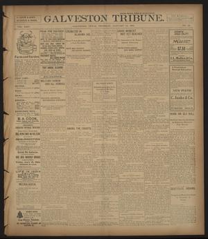 Galveston Tribune. (Galveston, Tex.), Vol. 24, No. 42, Ed. 1 Thursday, January 14, 1904