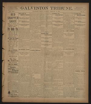 Galveston Tribune. (Galveston, Tex.), Vol. 24, No. 68, Ed. 1 Saturday, February 13, 1904