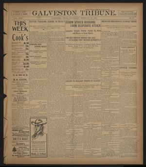 Galveston Tribune. (Galveston, Tex.), Vol. 24, No. 71, Ed. 1 Wednesday, February 17, 1904