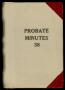 Thumbnail image of item number 1 in: 'Travis County Probate Records: Probate Minutes 38'.