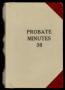 Book: Travis County Probate Records: Probate Minutes 36
