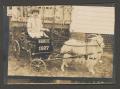 Photograph: [Unknown Girl With Goat Cart]