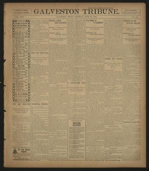 Galveston Tribune. (Galveston, Tex.), Vol. 24, No. 182, Ed. 1 Saturday, June 25, 1904