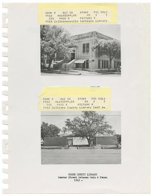 Primary view of object titled '[Two Cooke County Library Branches]'.