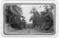 Thumbnail image of item number 1 in: '[Unidentified Road near Pineland, Texas ]'.