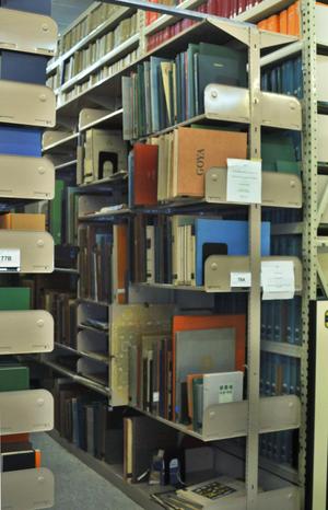 Primary view of object titled '[Bookshelves at Library Annex]'.
