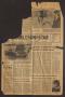 Newspaper: Burleson Star (Burleson, Tex.), Vol. 14, No. 53, Ed. 1 Monday, April …