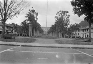 Primary view of object titled '[Park with Trees and a Flag Pole]'.