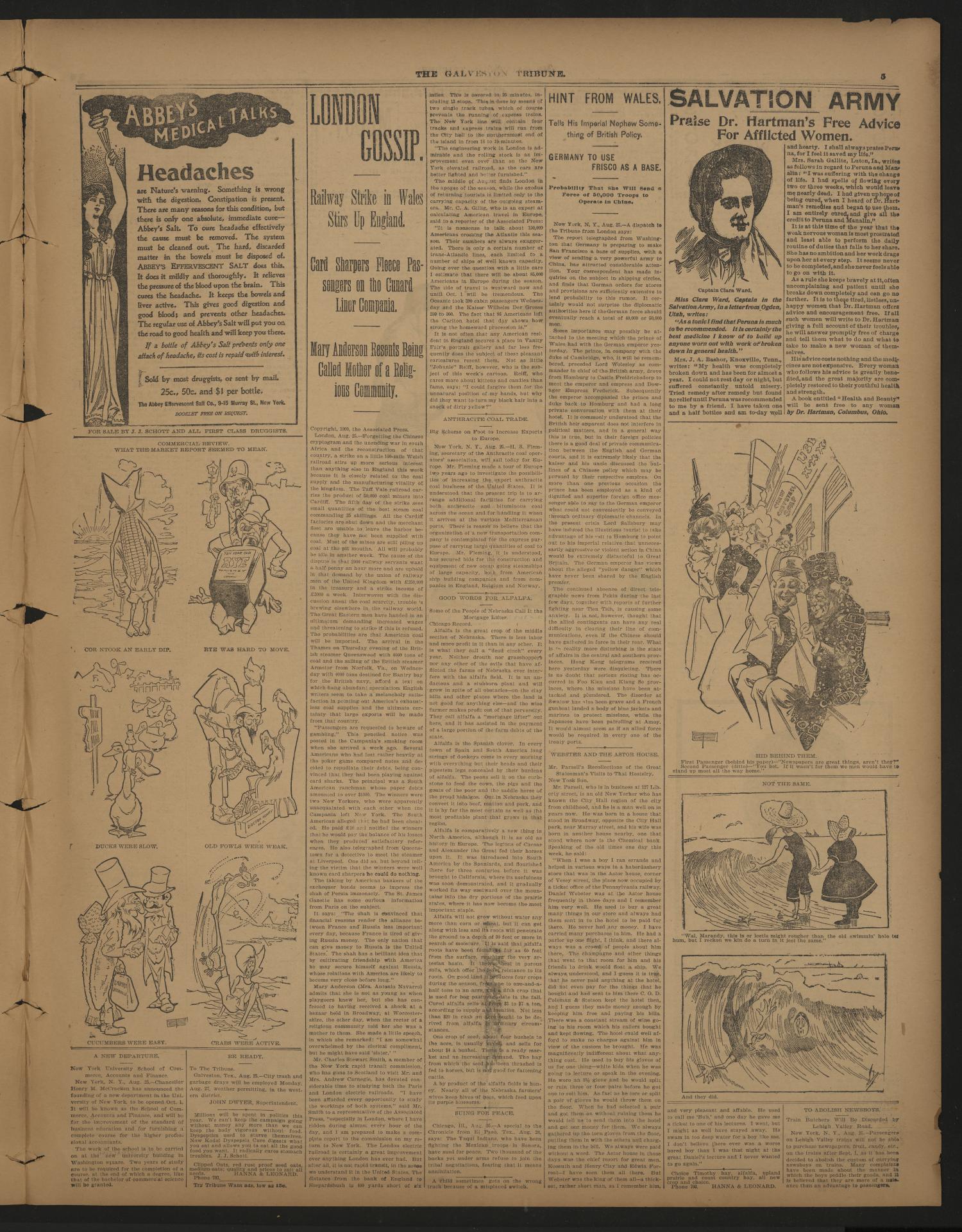 Galveston Tribune. (Galveston, Tex.), Vol. 20, No. 240, Ed. 1 Saturday, August 25, 1900
                                                
                                                    [Sequence #]: 5 of 8
                                                