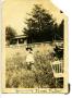 Thumbnail image of item number 1 in: '[James Clinton Fuller Standing in A Field]'.
