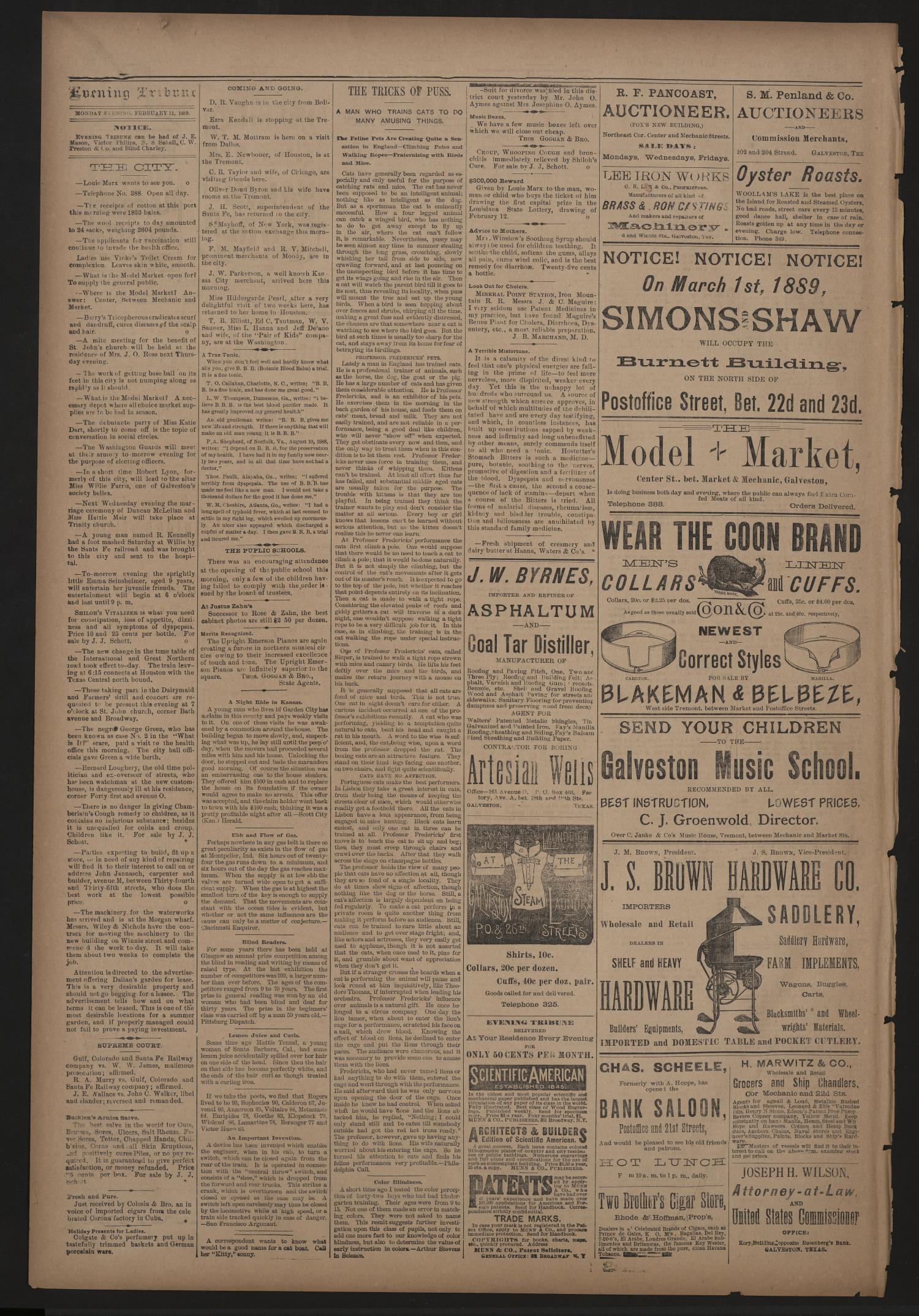 Evening Tribune. (Galveston, Tex.), Vol. 9, No. 77, Ed. 1 Monday, February 11, 1889
                                                
                                                    [Sequence #]: 4 of 4
                                                