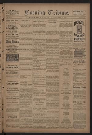 Evening Tribune. (Galveston, Tex.), Vol. 9, No. 79, Ed. 1 Wednesday, February 13, 1889