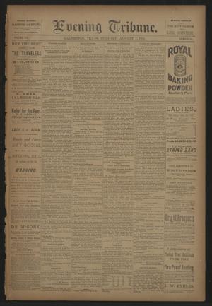 Evening Tribune. (Galveston, Tex.), Vol. 8, No. 233, Ed. 1 Tuesday, August 7, 1888