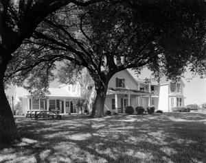 [Two-Story House and Large Tree]