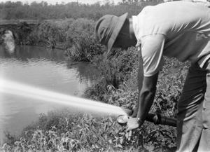 Primary view of object titled '[Man Spraying Fire Hose at Pond]'.