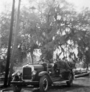 [Early 20th Century Fire Engine in Front of Tree]