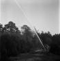 Photograph: [Hose Spraying in Forested Area]