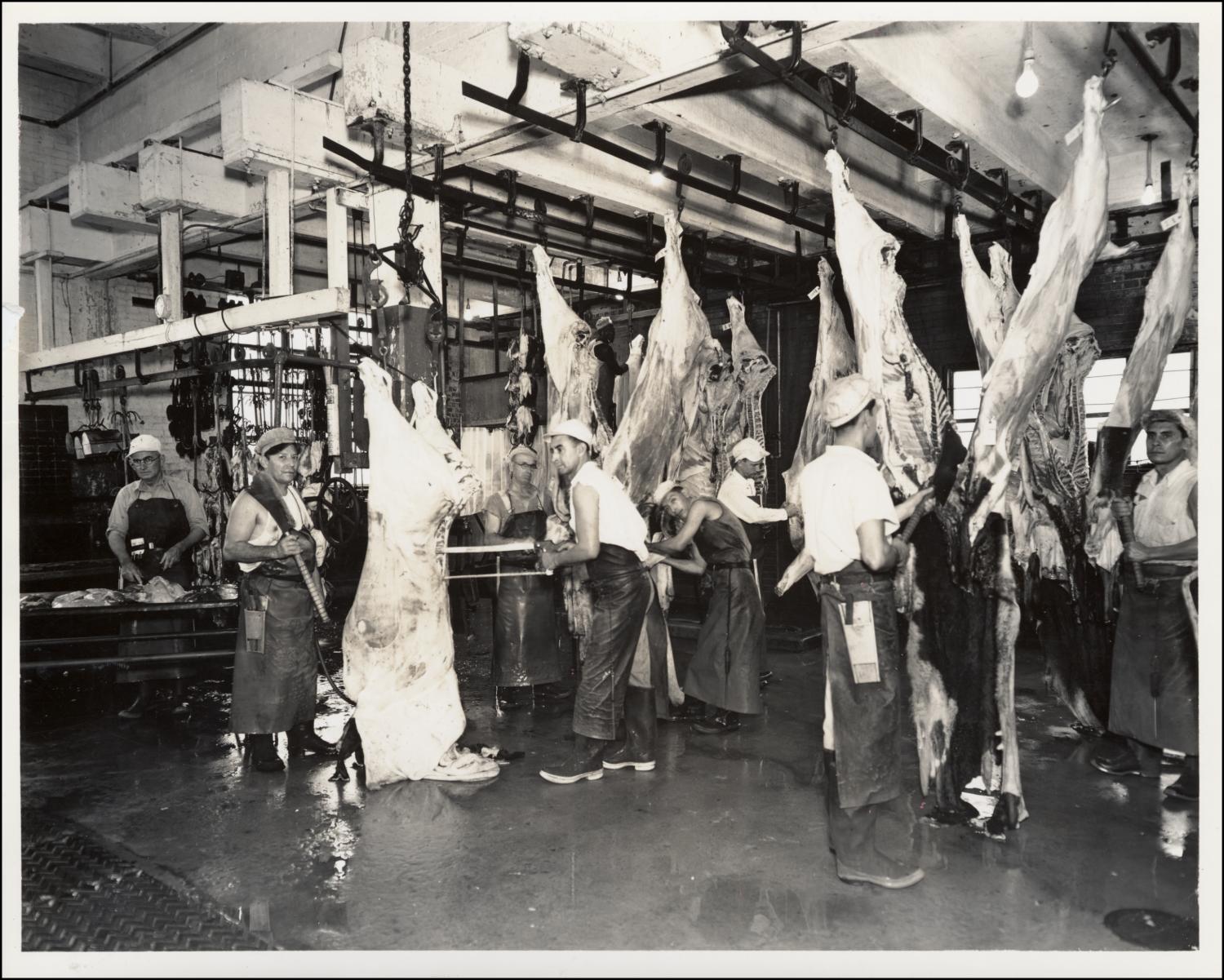 [View of crew working in slaughter room of the Austin Abattoir] - The ...