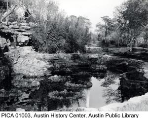 Primary view of object titled 'Pool at Zilker Park'.