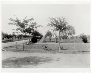 [Site of Shipe Stables in Hyde Park]