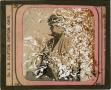 Thumbnail image of item number 1 in: 'Glass Slide of Prince Mere Hemcy (Arab)'.