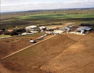 Aerial Photograph of Farm on FM 604 (Callahan County, Texas)